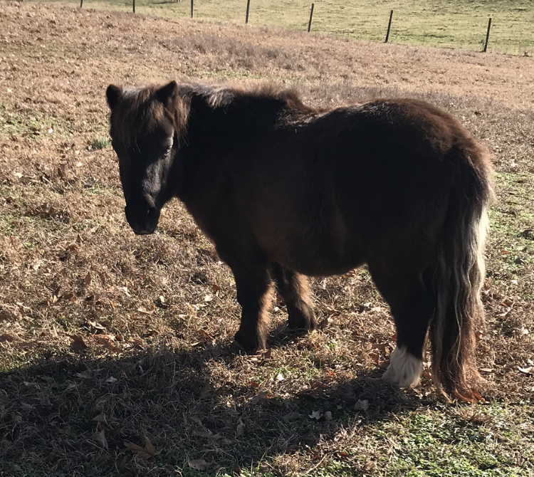 B6A652A8-FF2B-4096-A166-6077A46BCB09