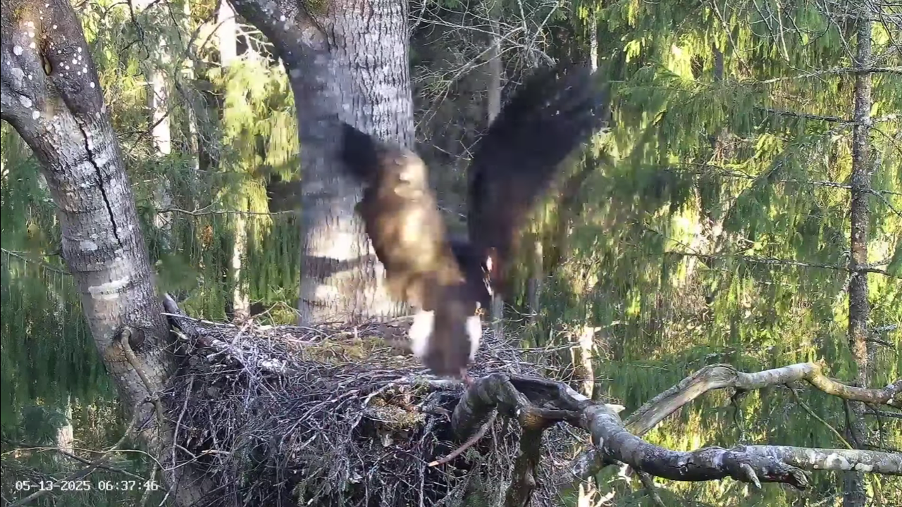 Ekrānuzņēmums 2025-05-13 082730