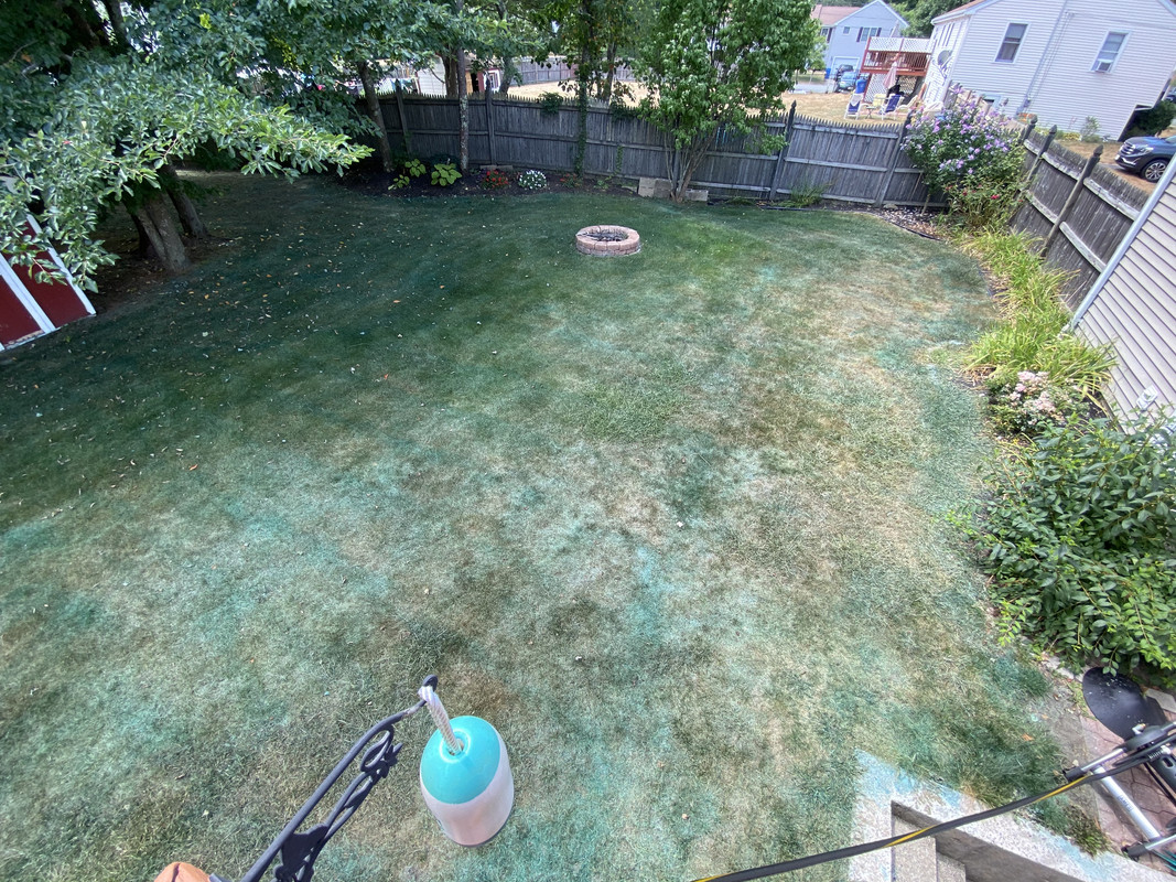 149FFF09-166A-483F-96FE-581D247C63AC