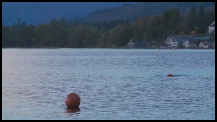 [Image: 68g4cbgutz3f.png]