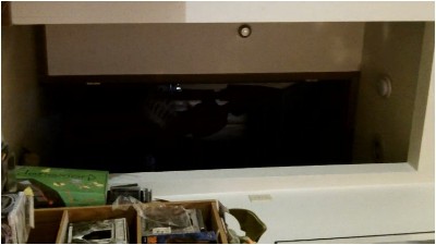 [Image: HID73273513504220260428.jpg]