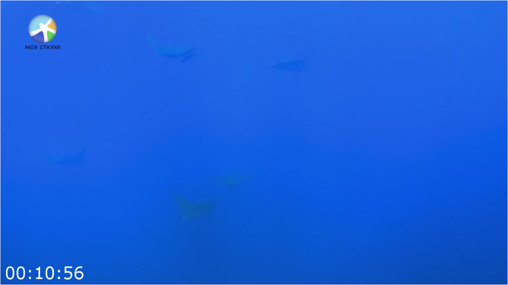 [Image: 7cinyove2k79.png]