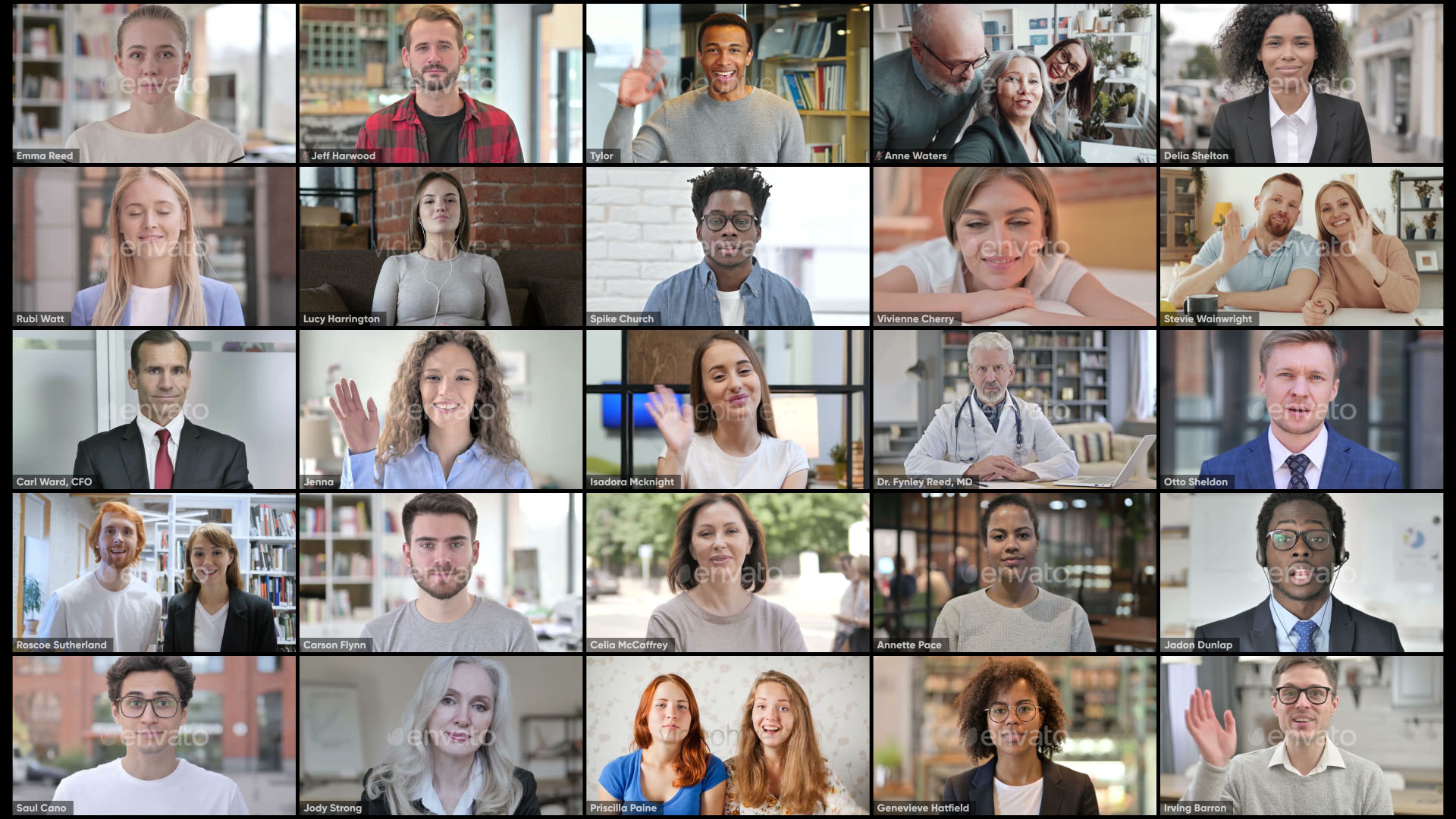Zoom Views: Online Video Conference Toolkit - 11