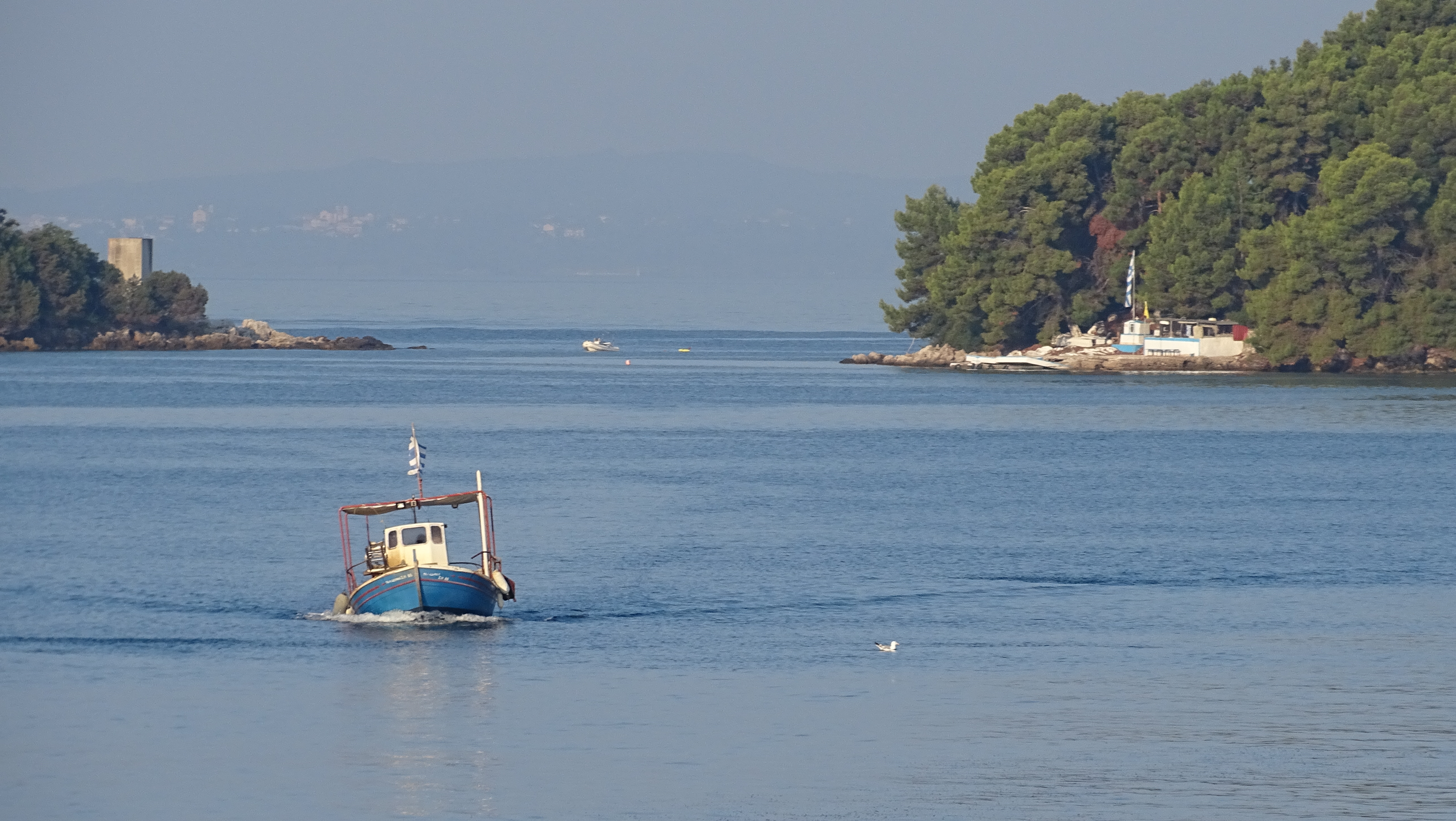 DSC02112.jpg