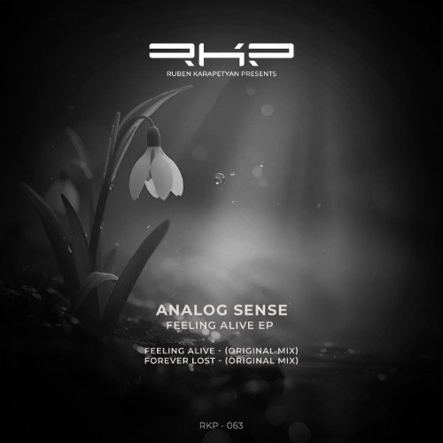 00-analog-sense-feeling-alive-rkp063-web