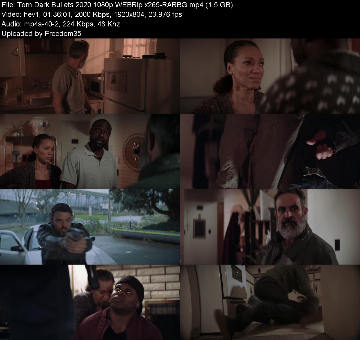 Torn-Dark-Bullets-2020-1080p-WEBRip-x265