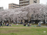 photo 35 2025 12 24 16 27 05