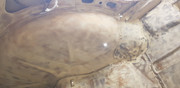 20240322-150804.jpg