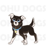 ohudog20210601163329