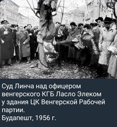 https://i.postimg.cc/Hr2kh6N4/photo-2026-06-30-04-27-27.jpg