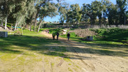 IMG-20260110-113709