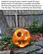 Pumpkins-0005