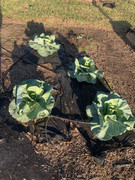 8061606F-AC2A-4BF8-96C0-102F366A29DE