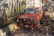 IMG-5421