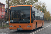 IMG-2412