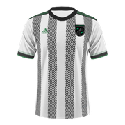 rochester-ny-fora-2d