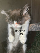 C0E20BF1-43B3-42BD-8F79-965FFB4B6099