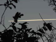 23.2.tiny plane 2 II