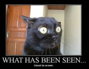 what has been seen can't be unseen