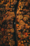 wp11432921-autumn-iphone-2022-wallpapers
