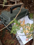 [Image: IMG-20250425-111516168-HDR.jpg]