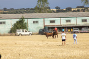 IMG-0424