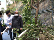 photo-iherbalgarden-3rd-016