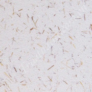 eZy Watermark_01-12-2022_03-01-16PM 1