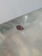 received_24237310935903172