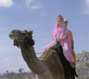 Barbara-Eden-c58