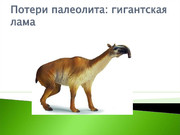 https://i.postimg.cc/HrQY4yhx/slide-29.jpg