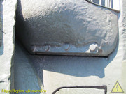 IMG-3528