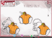 e.g. behind pumpkin canine