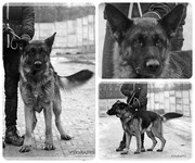 1.jpg&key=104104ddffe0b7c00dad3d6685d7b3