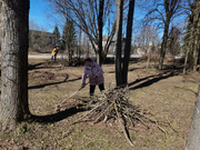IMG-20250403-120409