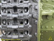 IMG-8686