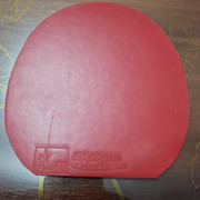 WhatsApp Image 2025-05-25 at 10.02.50 (1)