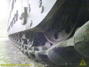 IMG-8679