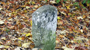 S9960039