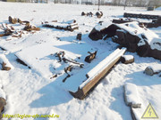 DSCN8195
