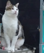 2017-12-16 07.45.56 1671169739404567260_338237262