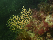 02004_15-02-2Coul-00224