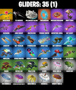 gliders-comp