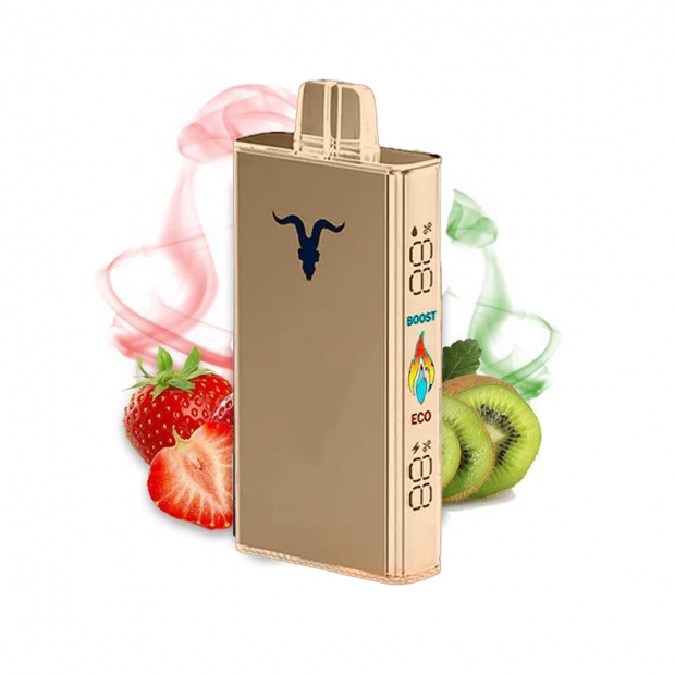IGNITE V250