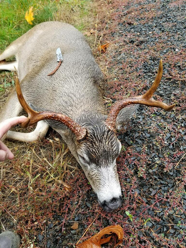 BF0628EB-6FA4-4E73-953D-9BA744FACC67