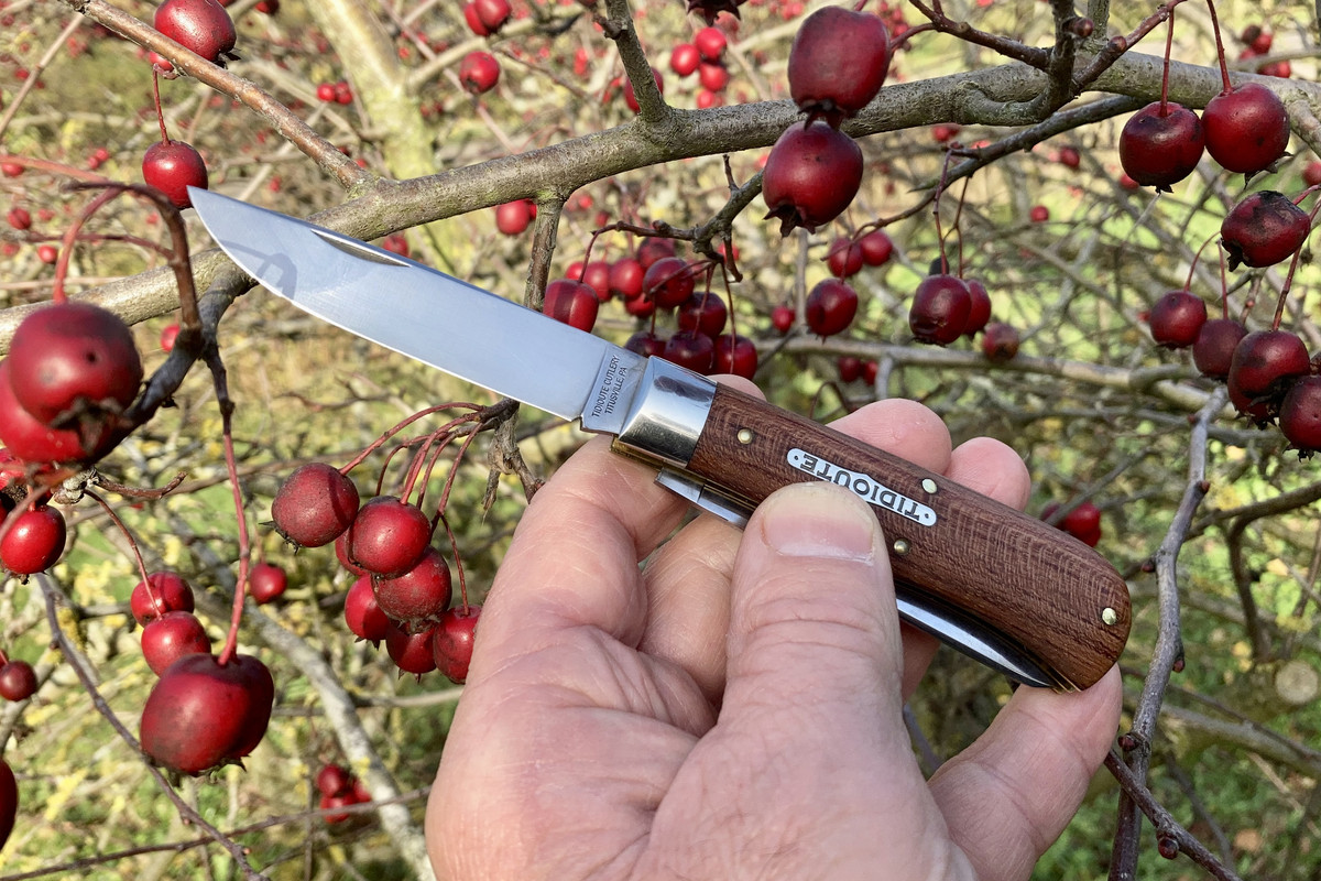 37701EC4-119C-4996-A95E-BF8C16A3159A