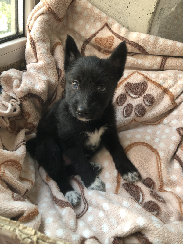 838D2B95-E938-4AAC-B9C2-1D0720CAF4C3