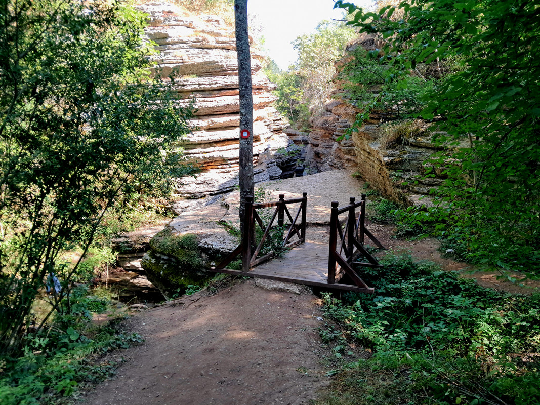 20240818-095811.jpg