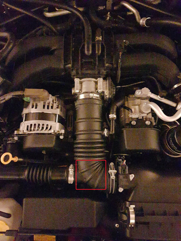 FJIMG_20190303_010147