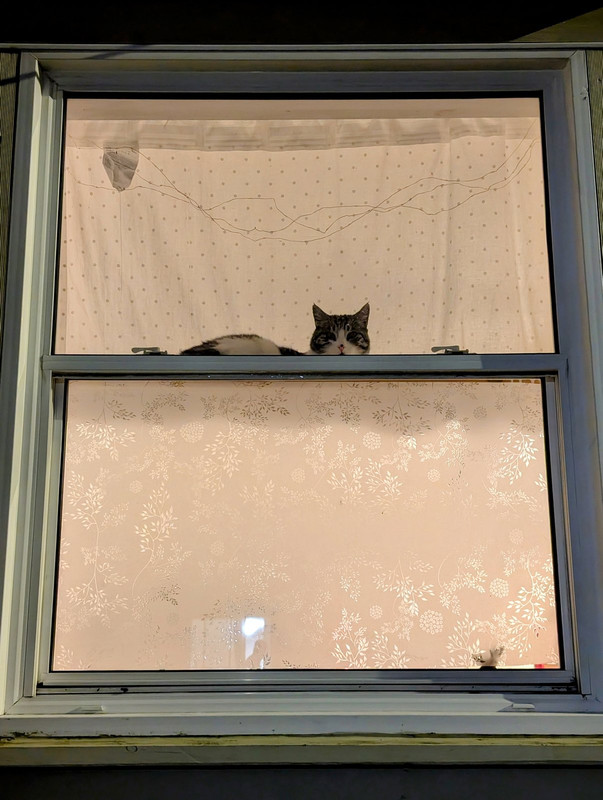 PXL_20241128_211212615.MP~2